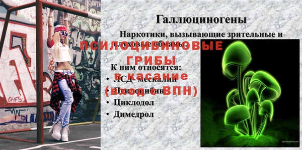 винт Армянск