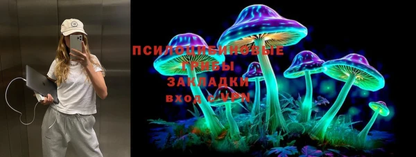 винт Армянск