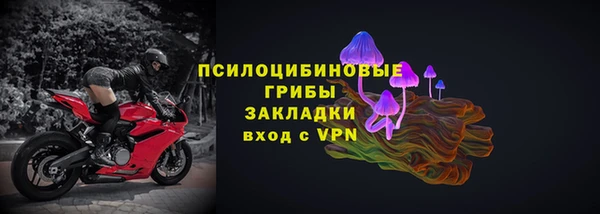 винт Армянск