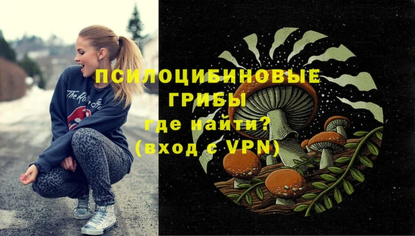 винт Армянск